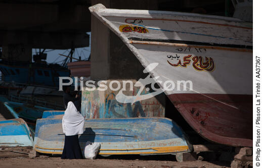 Le Delta du Nil - Egypte - © Philip Plisson / Plisson La Trinité / AA37367 - Nos reportages photos - Nil [le]