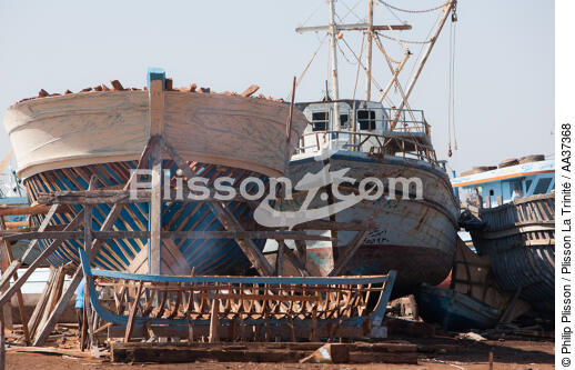 Le Delta du Nil - Egypte - © Philip Plisson / Plisson La Trinité / AA37368 - Nos reportages photos - Construction navale