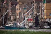 The Nil delta - Egypte © Philip Plisson / Plisson La Trinité / AA37373 - Photo Galleries - Fishing