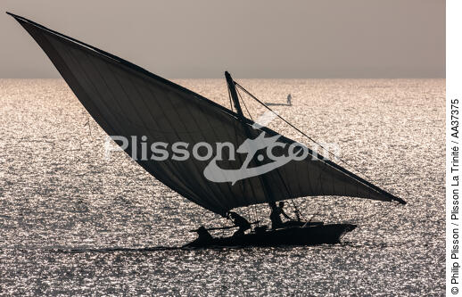 The Nil delta - Egypte - © Philip Plisson / Plisson La Trinité / AA37375 - Photo Galleries - Maritime activity
