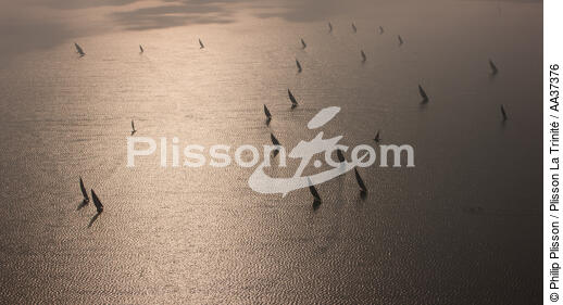 The Nil delta - Egypte - © Philip Plisson / Plisson La Trinité / AA37376 - Photo Galleries - Boat