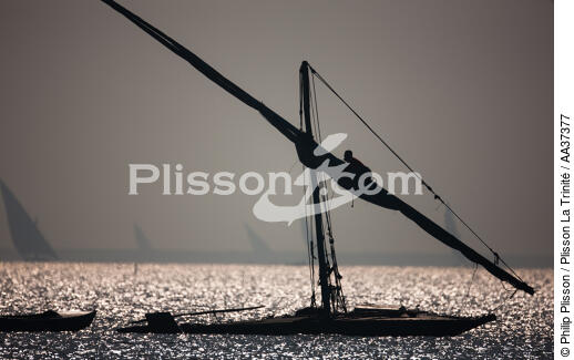 The Nil delta - Egypte - © Philip Plisson / Plisson La Trinité / AA37377 - Photo Galleries - Fishing vessel