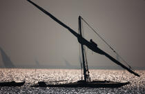 Le Delta du Nil - Egypte © Philip Plisson / Plisson La Trinité / AA37377 - Nos reportages photos - Bateau de pêche