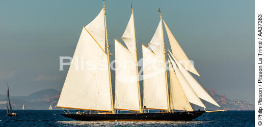 La Goélette "Atlantic" - © Philip Plisson / Plisson La Trinité / AA37383 - Nos reportages photos - Goélette [Yachting]