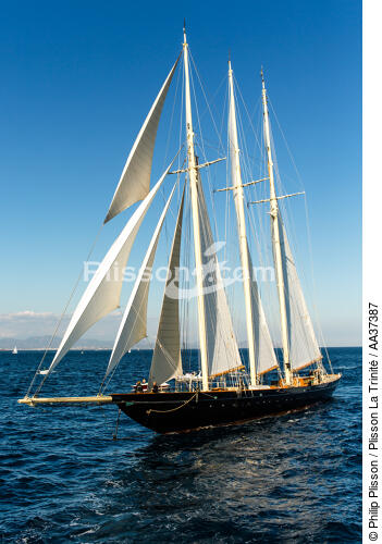 La Goélette "Atlantic" - © Philip Plisson / Plisson La Trinité / AA37387 - Nos reportages photos - Yachting
