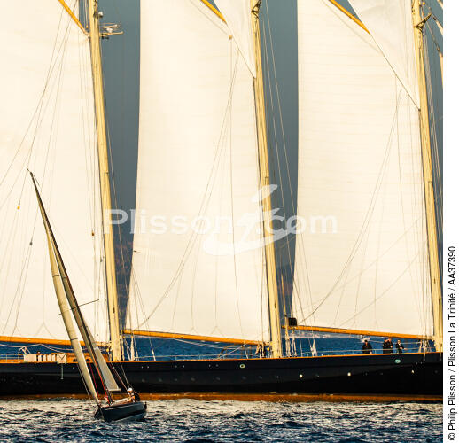 La Goélette Atlantic - © Philip Plisson / Plisson La Trinité / AA37390 - Nos reportages photos - Voiles Classiques