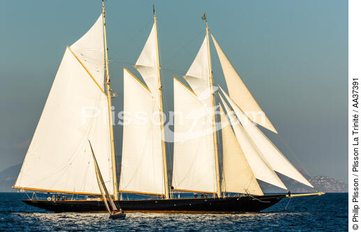 La Goélette Atlantic - © Philip Plisson / Plisson La Trinité / AA37391 - Nos reportages photos - Yachting