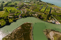 Ile de Sant'Erasmo dans la lagune de Venise © Philip Plisson / Plisson La Trinité / AA37480 - Nos reportages photos - Vue aérienne