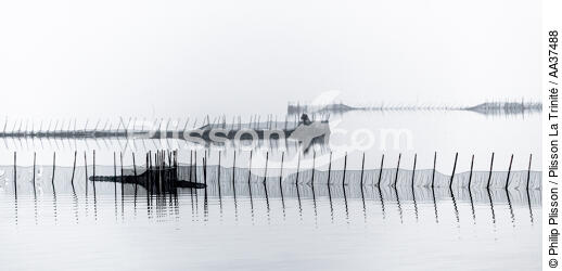 La pêche dans la lagune de Venise - © Philip Plisson / Plisson La Trinité / AA37488 - Nos reportages photos - Site [It]