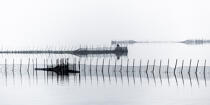 Fishing in the lagoon of Venice © Philip Plisson / Plisson La Trinité / AA37488 - Photo Galleries - Light