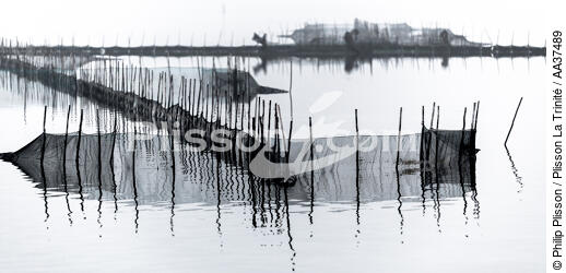Fishing in the lagoon of Venice - © Philip Plisson / Plisson La Trinité / AA37489 - Photo Galleries - Site of interest [It]