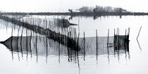 Fishing in the lagoon of Venice © Philip Plisson / Plisson La Trinité / AA37489 - Photo Galleries - Fishing