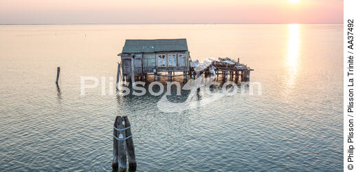 Venice lagoon - © Philip Plisson / Plisson La Trinité / AA37492 - Photo Galleries - Site of interest [It]