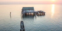 Venice lagoon © Philip Plisson / Plisson La Trinité / AA37492 - Photo Galleries - Fishing