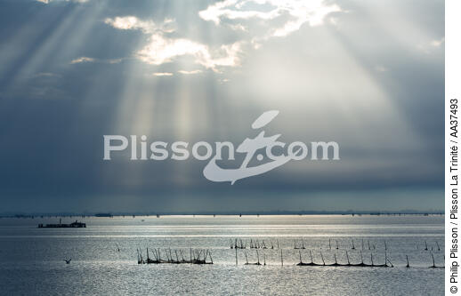 La lagune de Venise - © Philip Plisson / Plisson La Trinité / AA37493 - Nos reportages photos - Italie