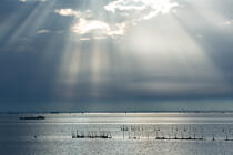 La lagune de Venise © Philip Plisson / Plisson La Trinité / AA37493 - Nos reportages photos - Site [It]