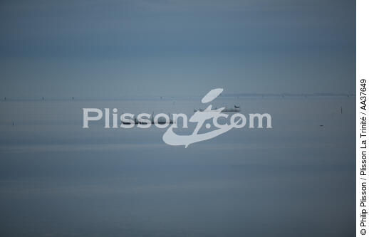 Fishing in the lagoon of Venice - © Philip Plisson / Plisson La Trinité / AA37649 - Photo Galleries - Site of interest [It]