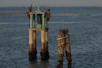 Dans la Lagune de Venise © Philip Plisson / Plisson La Trinité / AA37684 - Nos reportages photos - Site [It]