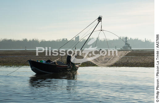 La pêche dans la lagune de Venise - © Philip Plisson / Plisson La Trinité / AA37686 - Nos reportages photos - Site [It]