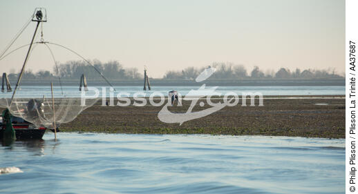 Fishing in the lagoon of Venice - © Philip Plisson / Plisson La Trinité / AA37687 - Photo Galleries - Venetian lagoon