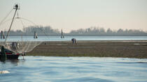 La pêche dans la lagune de Venise © Philip Plisson / Plisson La Trinité / AA37687 - Nos reportages photos - 16/9 horizontal