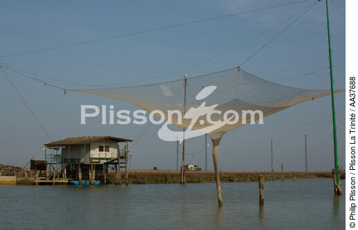 La pêche dans la lagune de Venise - © Philip Plisson / Plisson La Trinité / AA37688 - Nos reportages photos - Site [It]
