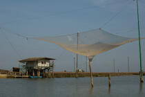 La pêche dans la lagune de Venise © Philip Plisson / Plisson La Trinité / AA37688 - Nos reportages photos - La Lagune de Venise
