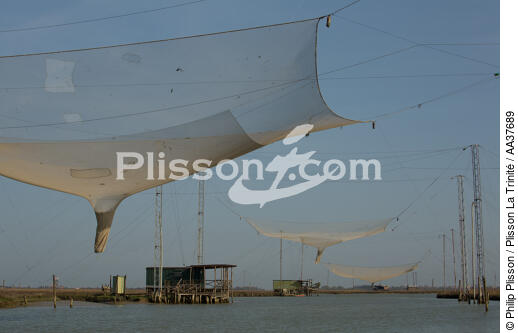 La pêche dans la lagune de Venise - © Philip Plisson / Plisson La Trinité / AA37689 - Nos reportages photos - Site [It]