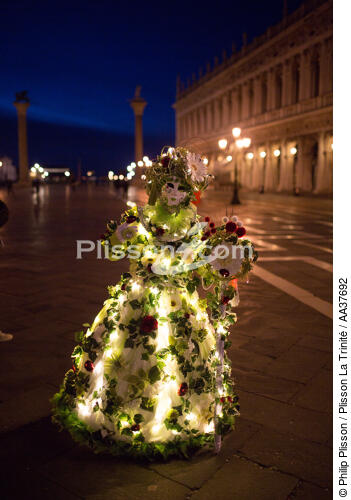 Venice Carnival [AT] - © Philip Plisson / Plisson La Trinité / AA37692 - Photo Galleries - Canaval of Venice
