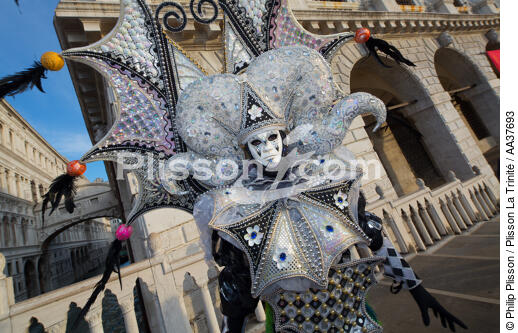 Venice Carnival [AT] - © Philip Plisson / Plisson La Trinité / AA37693 - Photo Galleries - Carnival