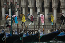 Grande marée à Venise © Philip Plisson / Plisson La Trinité / AA37733 - Nos reportages photos - Venise