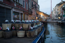 Venise © Philip Plisson / Plisson La Trinité / AA37746 - Nos reportages photos - Venise