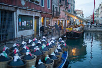 Venise © Philip Plisson / Plisson La Trinité / AA37747 - Nos reportages photos - Venise sous tous les angles