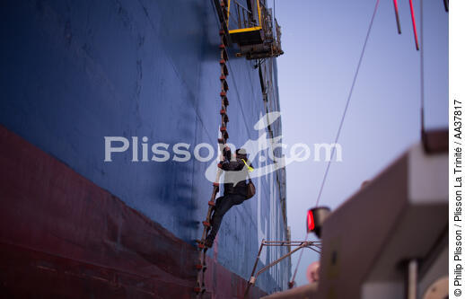 Maritime traffic in the lagoon of Venice [AT] - © Philip Plisson / Plisson La Trinité / AA37817 - Photo Galleries - Containership