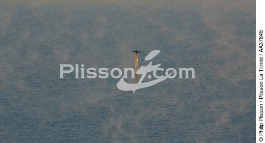 Paquebot - © Philip Plisson / Plisson La Trinité / AA37845 - Nos reportages photos - Terme marin