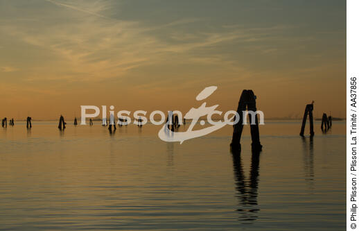 Dans la lagune de venise - © Philip Plisson / Plisson La Trinité / AA37856 - Nos reportages photos - Site [It]