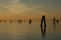 Dans la lagune de venise © Philip Plisson / Plisson La Trinité / AA37856 - Nos reportages photos - Lagune de Venise