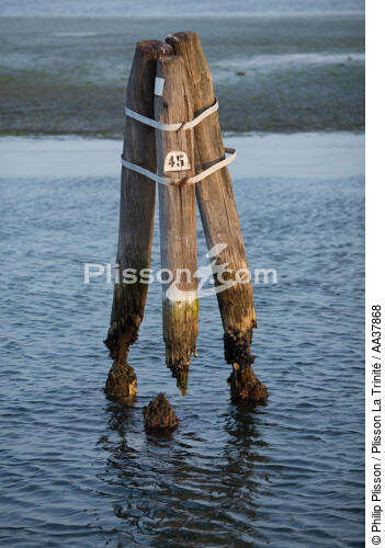 Dans la lagune de venise - © Philip Plisson / Plisson La Trinité / AA37868 - Nos reportages photos - Lagune de Venise