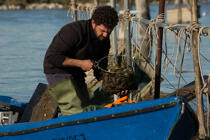 Fishing in the lagoon of Venice [AT] © Philip Plisson / Plisson La Trinité / AA37870 - Photo Galleries - Fishing