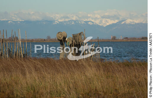 La pêche dans la lagune de Venise - © Philip Plisson / Plisson La Trinité / AA37871 - Nos reportages photos - Site [It]