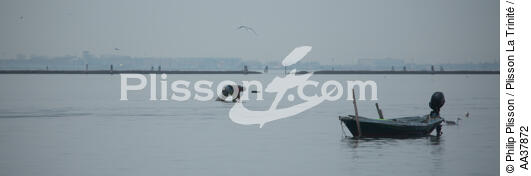 La pêche dans la lagune de Venise - © Philip Plisson / Plisson La Trinité / AA37872 - Nos reportages photos - Lagune de Venise