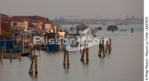 L'activité conchylicole dans la lagune de Venise - © Philip Plisson / Plisson La Trinité / AA37875 - Nos reportages photos - Site [It]
