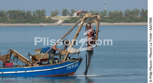 L'activité conchylicole dans la lagune de Venise - © Philip Plisson / Plisson La Trinité / AA37886 - Nos reportages photos - Conchyliculture