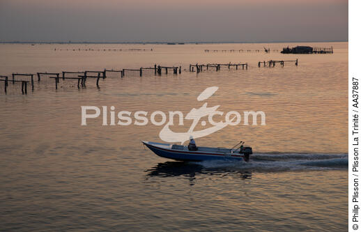 L'activité conchylicole dans la lagune de Venise - © Philip Plisson / Plisson La Trinité / AA37887 - Nos reportages photos - Italie
