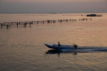 L'activité conchylicole dans la lagune de Venise © Philip Plisson / Pêcheur d’Images / AA37887 - Nos reportages photos - Aquaculture