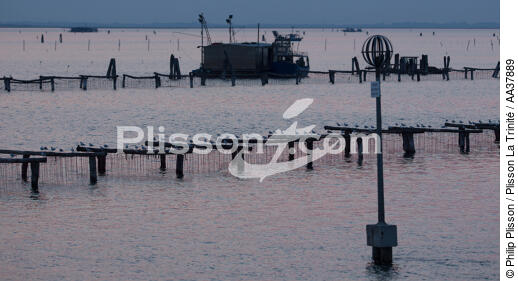 L'activité conchylicole dans la lagune de Venise - © Philip Plisson / Plisson La Trinité / AA37889 - Nos reportages photos - Conchyliculture