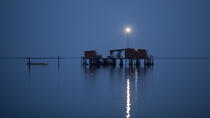 L'activité conchylicole dans la lagune de Venise © Philip Plisson / Plisson La Trinité / AA37891 - Nos reportages photos - Site [It]