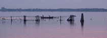 L'activité conchylicole dans la lagune de Venise © Philip Plisson / Plisson La Trinité / AA37893 - Nos reportages photos - Panoramique horizontal