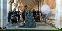 Carnaval de Venise © Philip Plisson / Plisson La Trinité / AA37901 - Nos reportages photos - Tradition