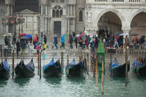 Acqua alta in Venice © Philip Plisson / Plisson La Trinité / AA37927 - Photo Galleries - Venice like never seen before